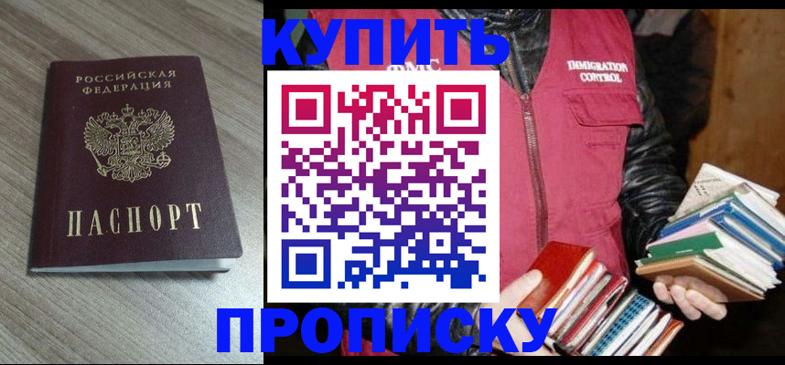прописка 2025 в Каргополе